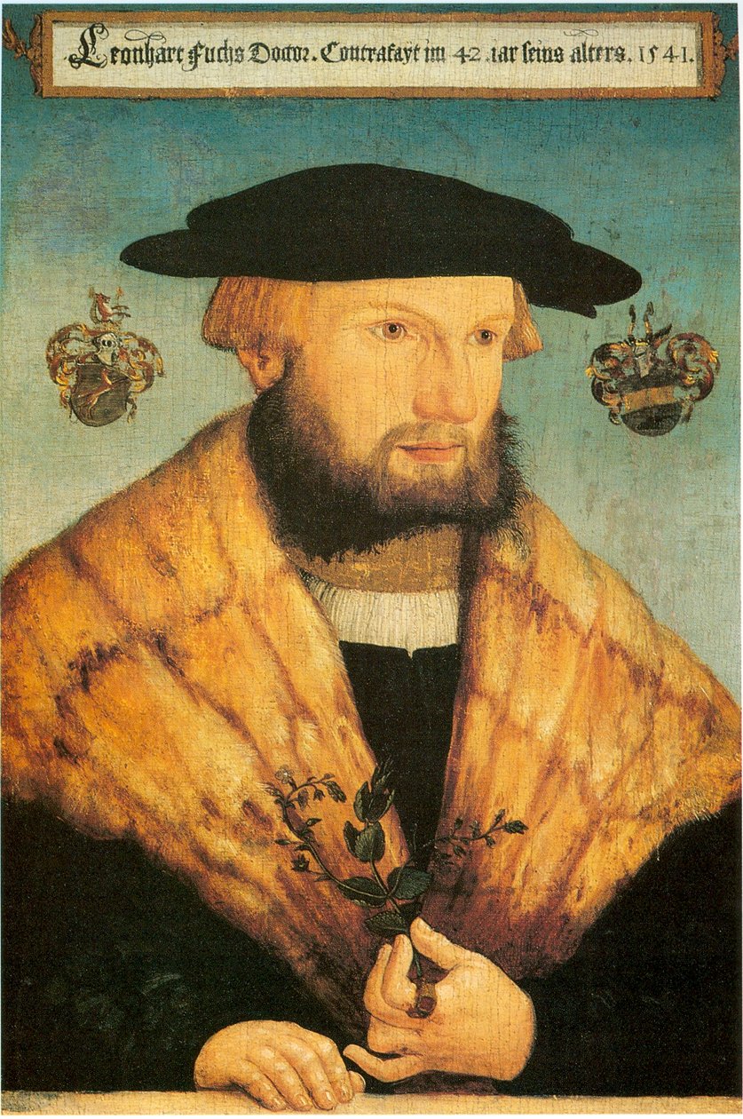  av Heinrich Füllmaurer