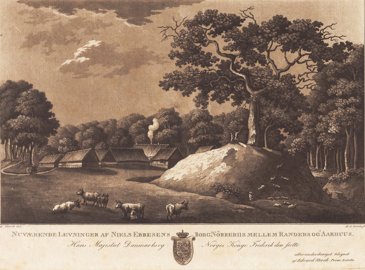 Nåværende rester av Niels Ebbesens slott Nørreriis. E Storch del. av Heinrich Grosch