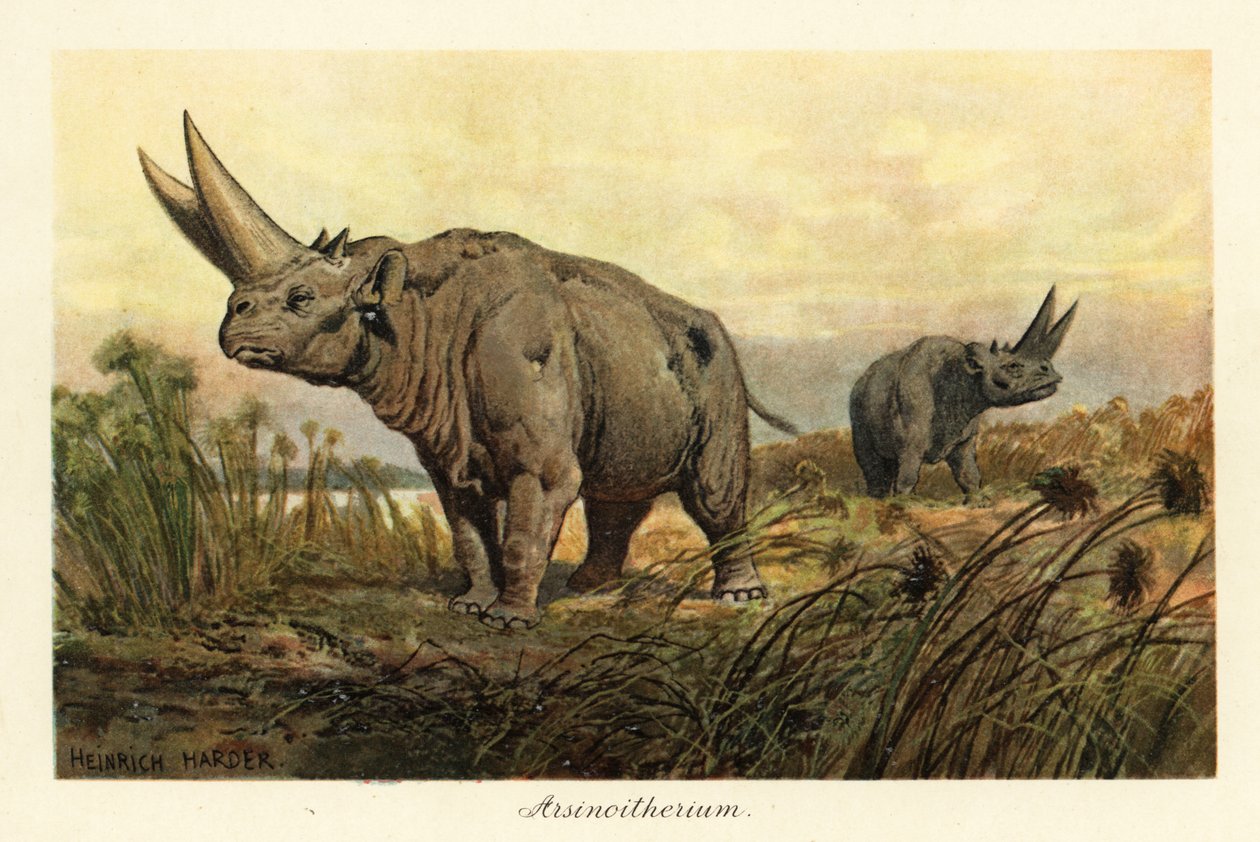 Arsinoitherium, en utdødd slekt av paenungulata pattedyr., 1908 (Trykk) av Heinrich Harder