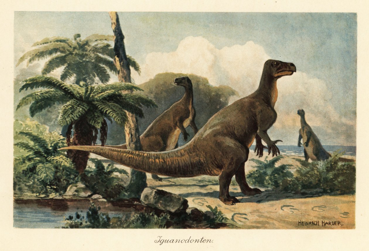 Iguanodon bernissartensis i en forhistorisk bregneskog. av Heinrich Harder