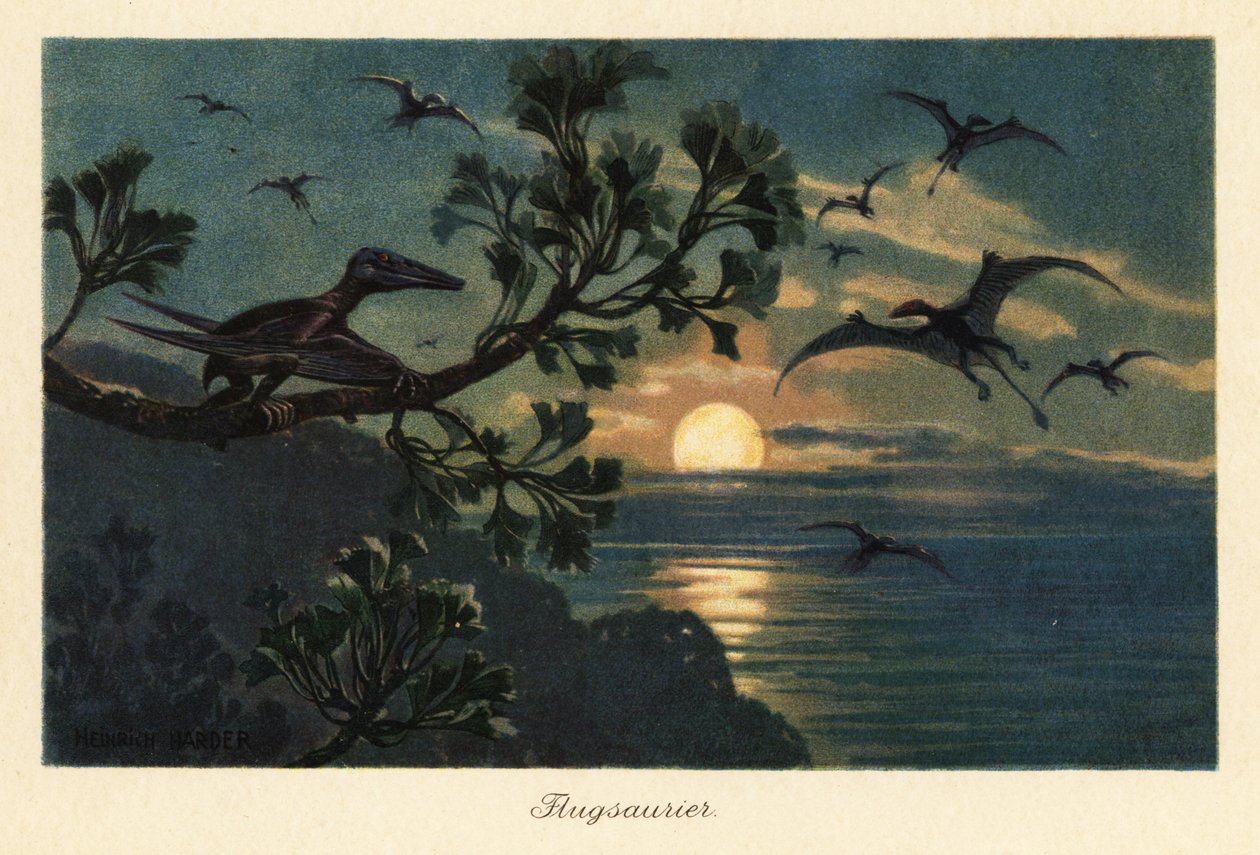 Rhamphorhynchus pterosaurs som flyr i måneskinnet. av Heinrich Harder
