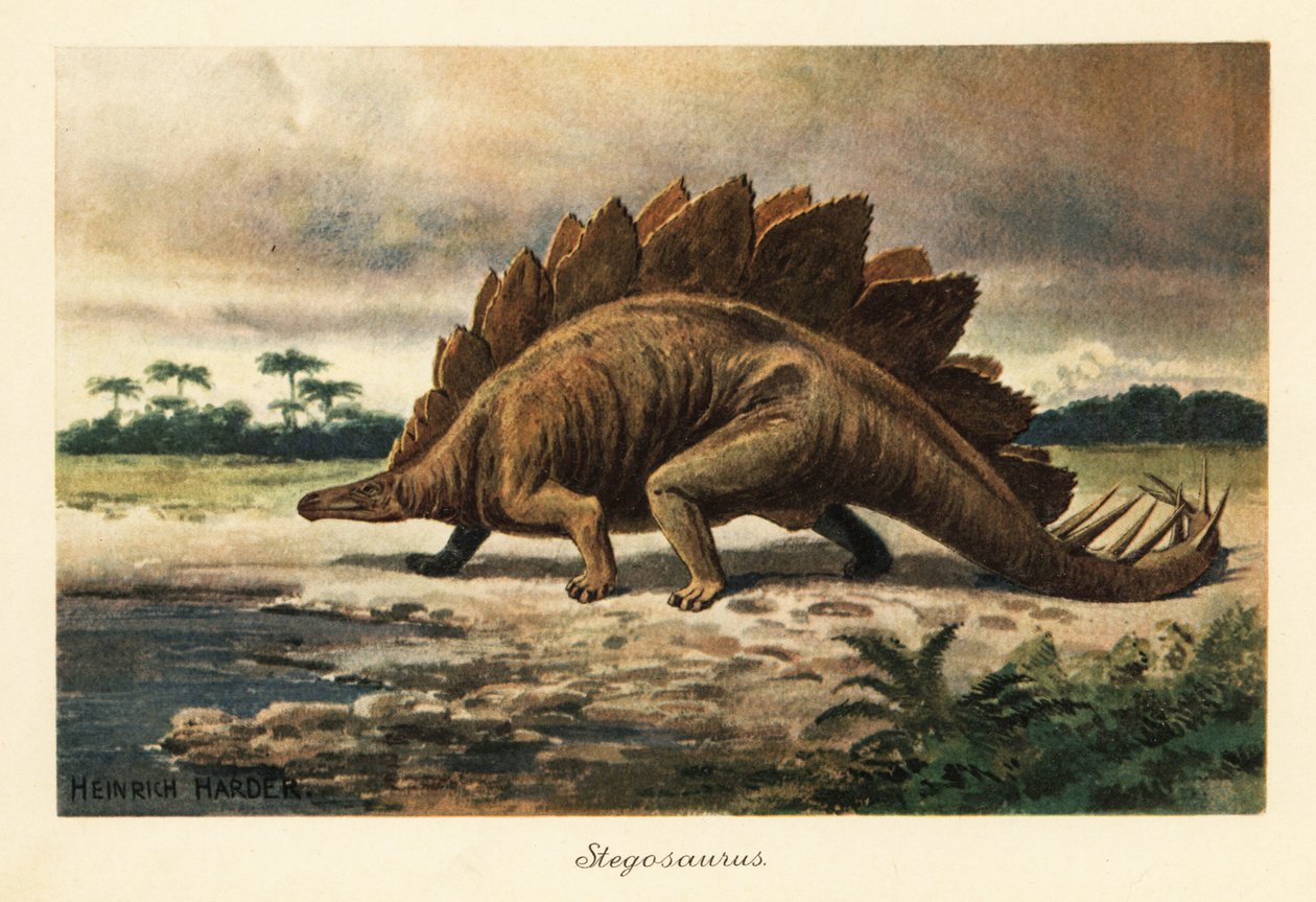 Stegosaurus armatus fra sen jura. av Heinrich Harder