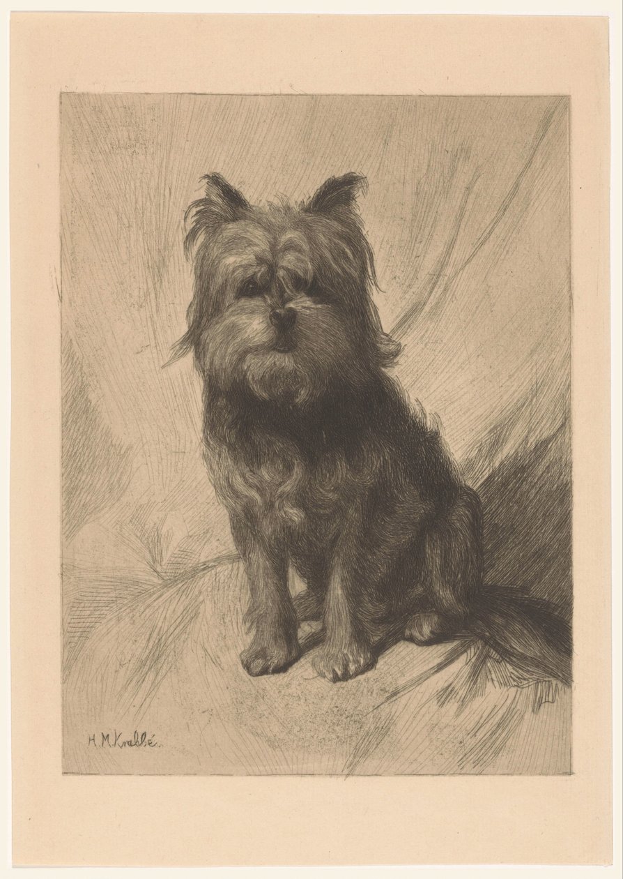 Nederlandsk smoushond av Heinrich M. Krabbé