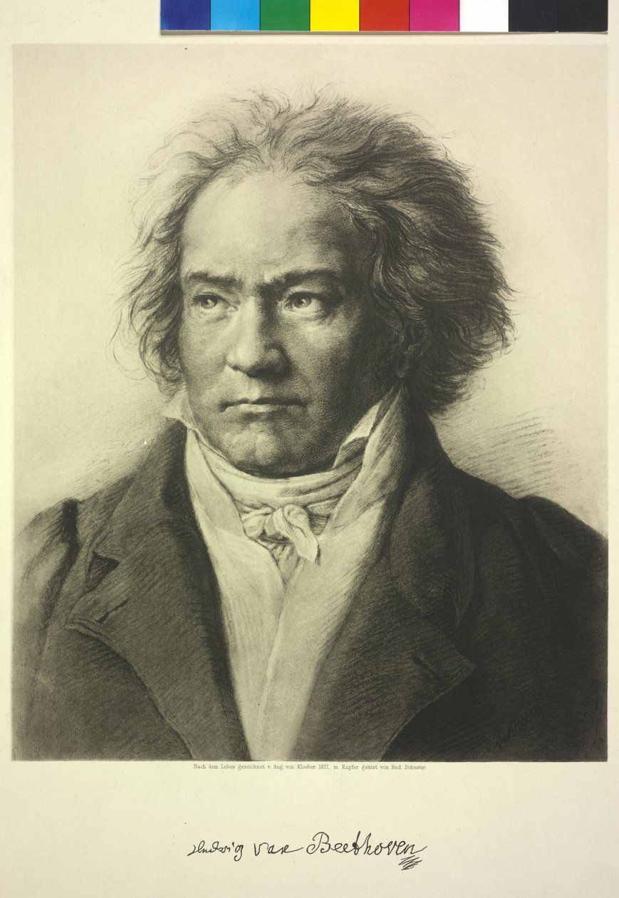  av Heinrich Rudolf Schuster