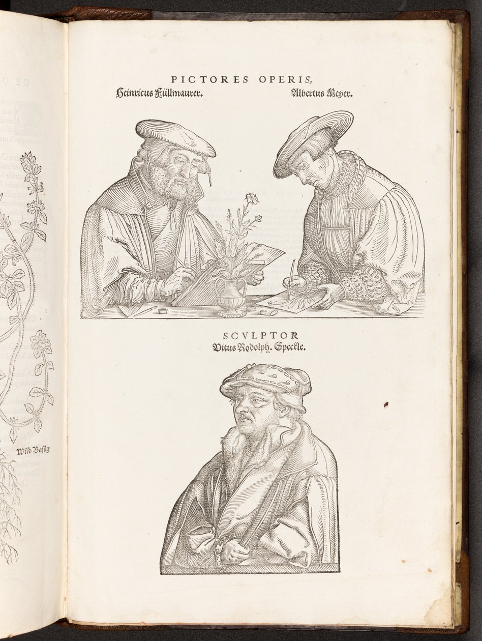 BT3.267.5 opp p896 Artists and Engraver, illustrasjon fra De historia stirpium commentarii insignes av Leonhart Fuchs, 1542 av Heinrich and Meyer, Albert Fullmaurer