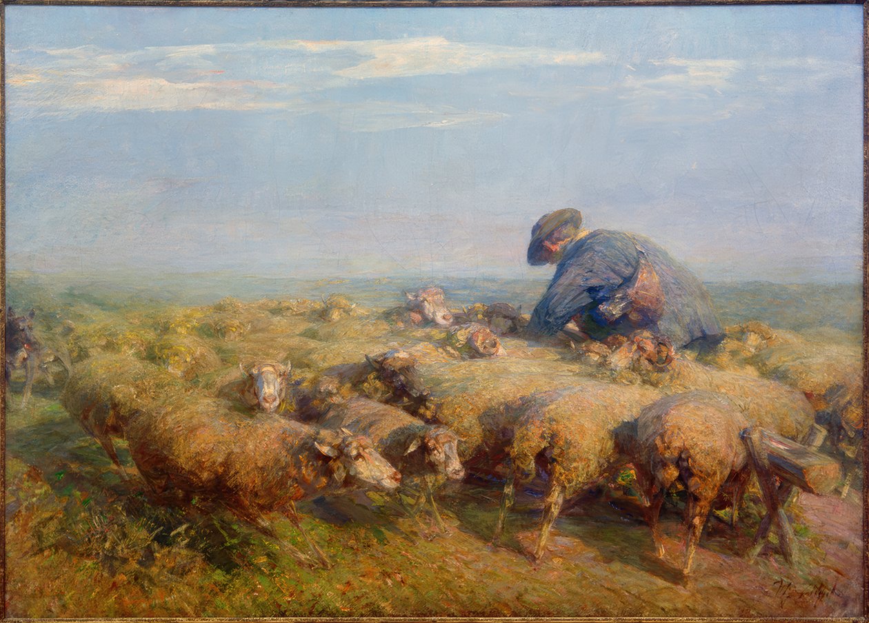 Saueflokken av Heinrich von Zügel