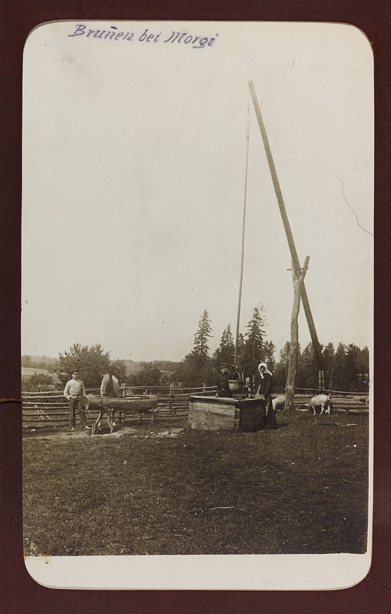 Første verdenskrig: 'Ukraina i årene 1914-1916 under invasjonen av den tyske hæren. En brønn (s/hvitt bilde) av Heldenfriedhof Dsessentniki (attr. to)