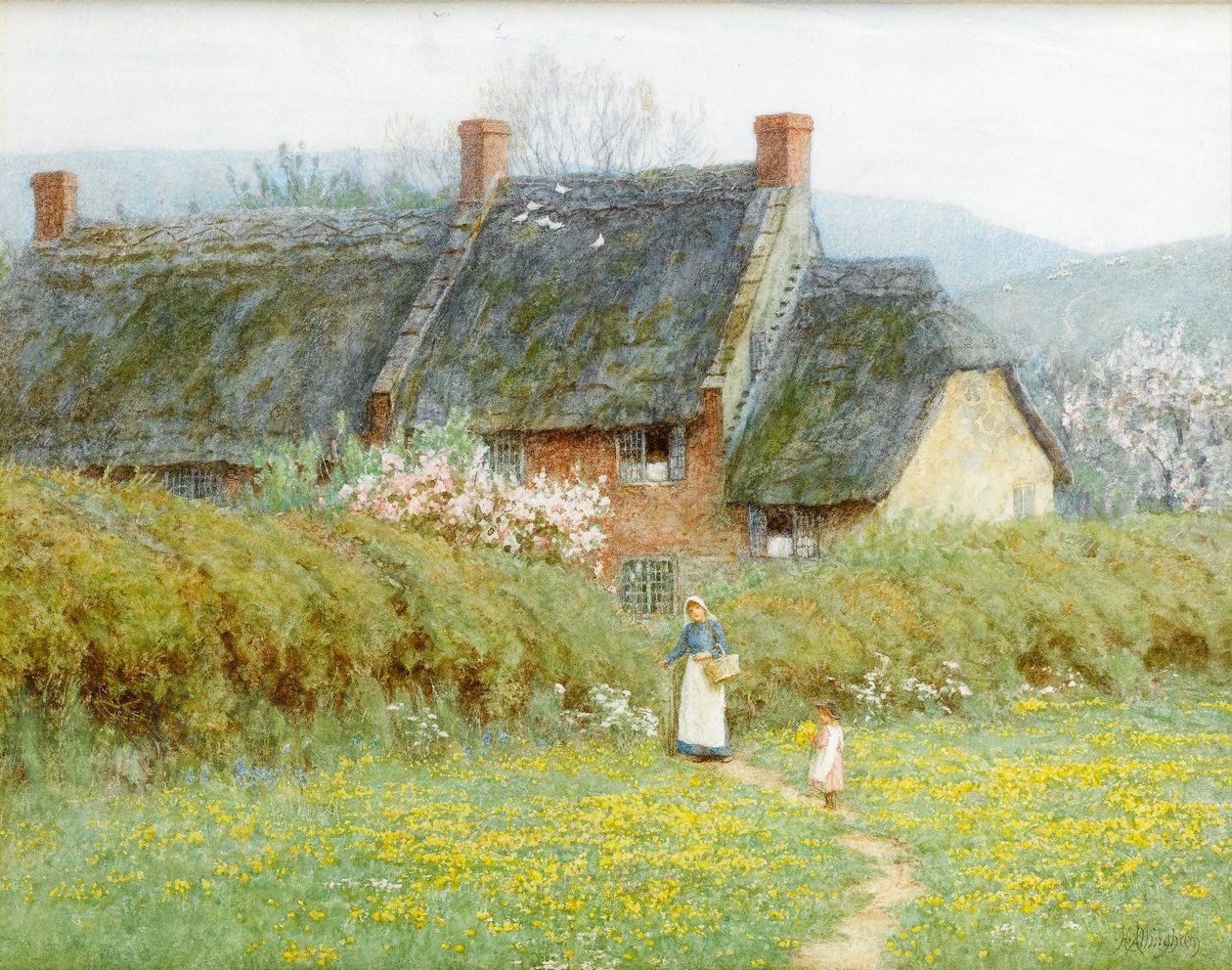 Smørblomster, nær Bridport, Dorset (wc på papir) av Helen Allingham