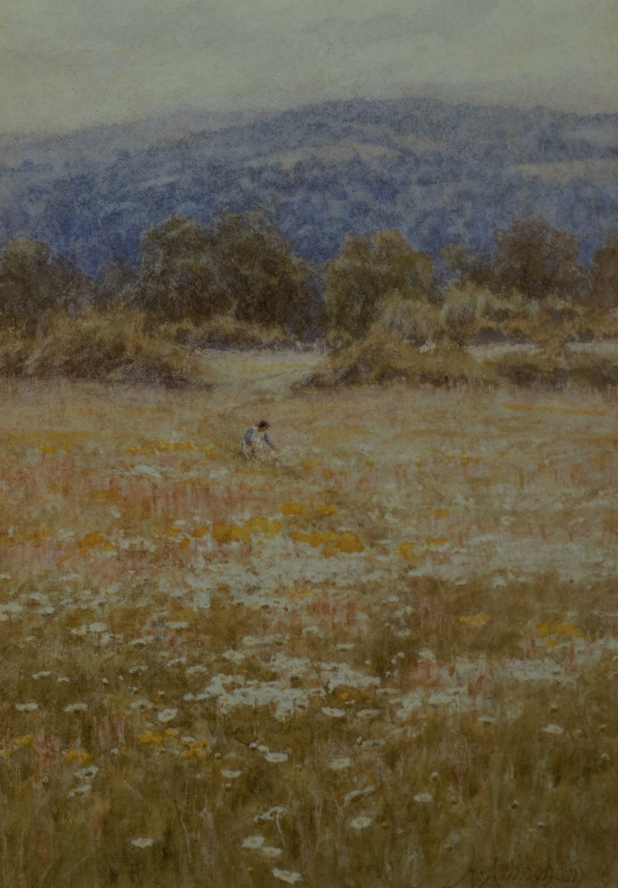 Plukker tusenfryd i Westerham, Kent av Helen Allingham