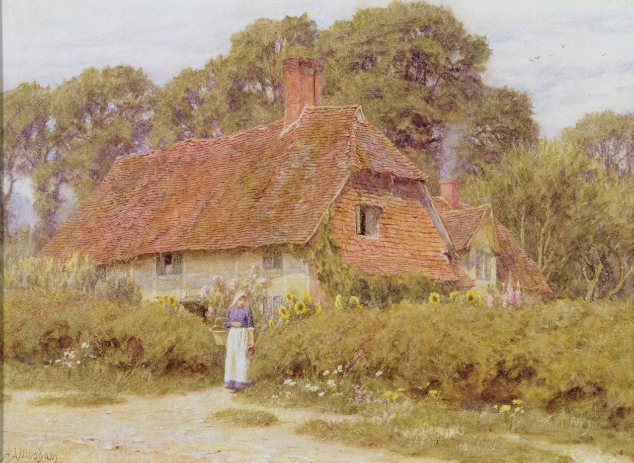Solsikker av Helen Allingham