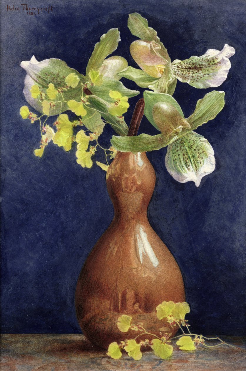 Orkideer i en kobbervase, 1881 (blyant og wc forsterket med gouache på papir) av Helen Thornycroft