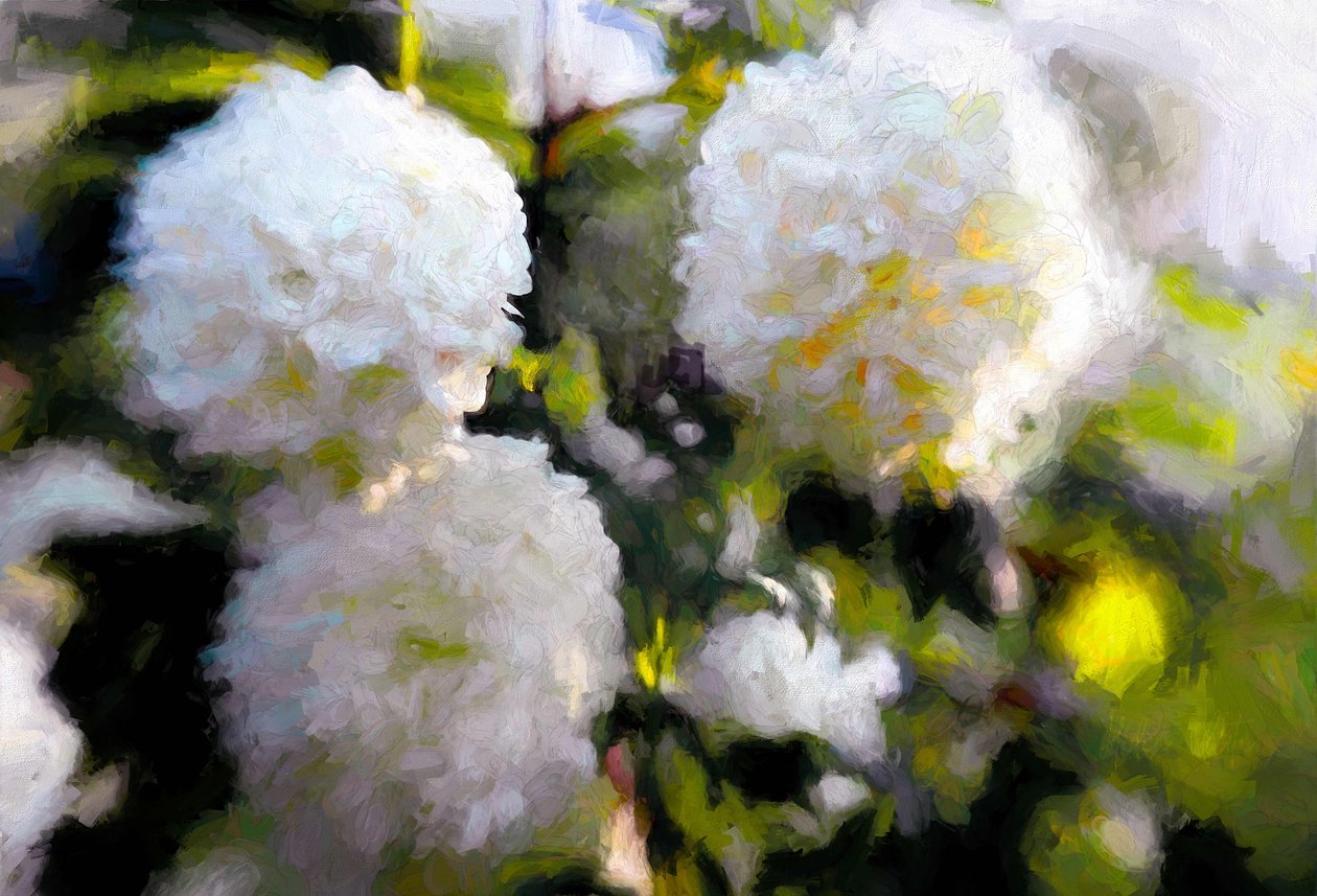 Big Blowsy Blooms, 2018, av Helen White