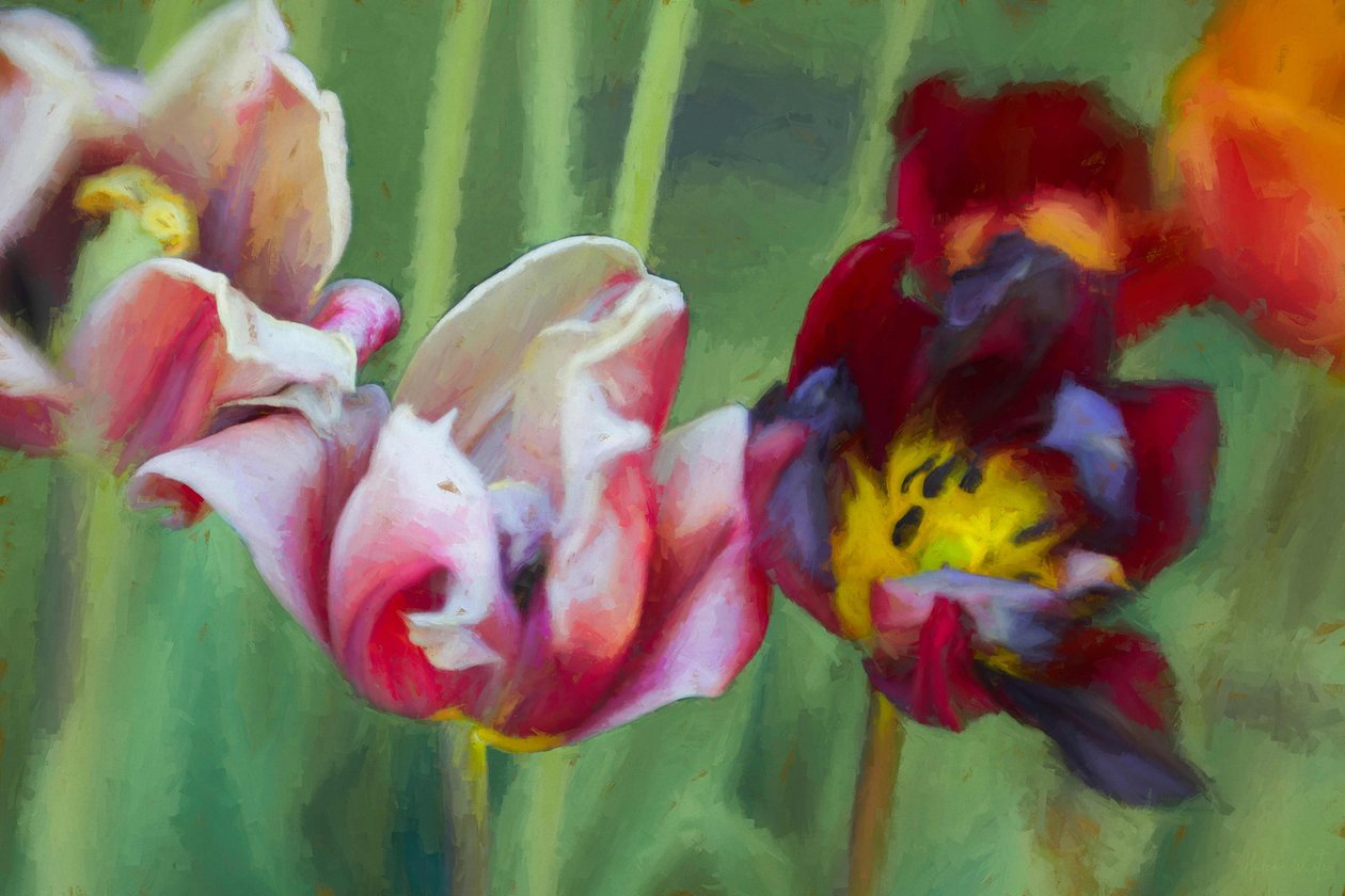 Bright Tulips, 2018, av Helen White