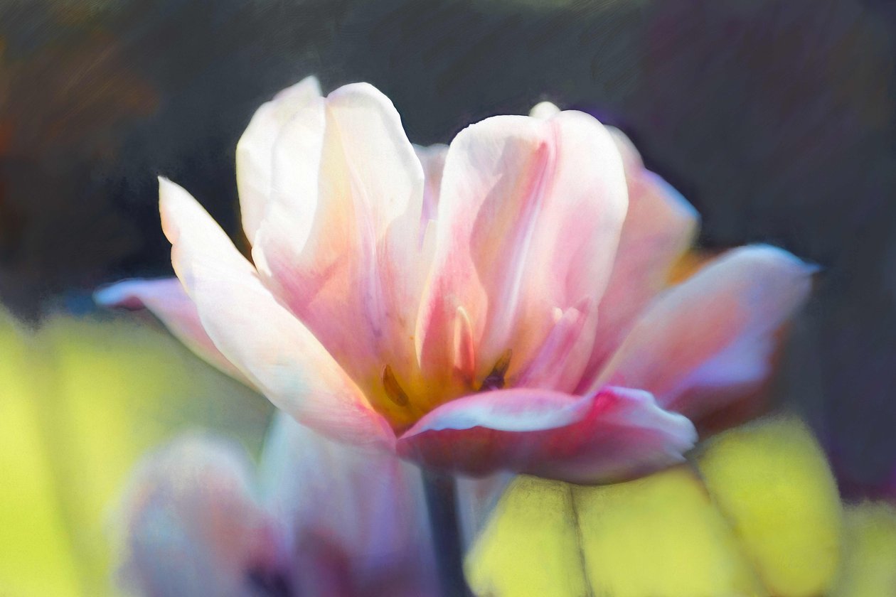 Emergence III, 2018, av Helen White