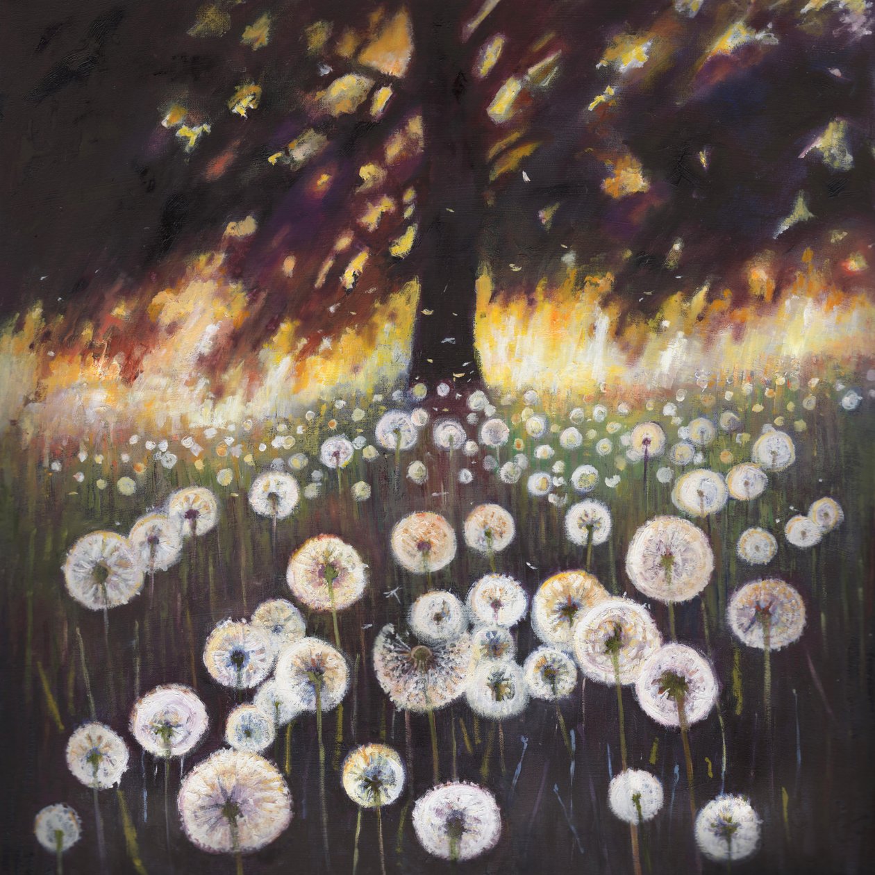 Field of dreams, 2015, av Helen White