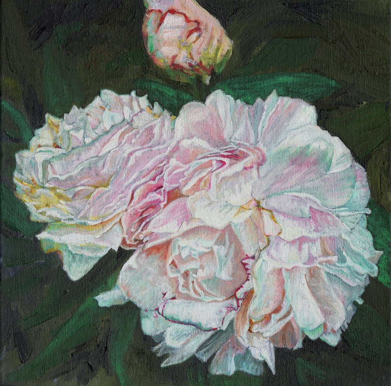 Første blomstring, 2012, av Helen White