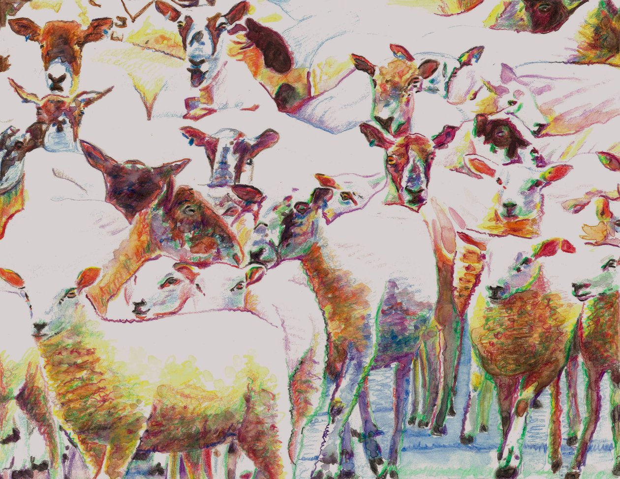 Flock, 2011, (fargeblyanter på papir) av Helen White