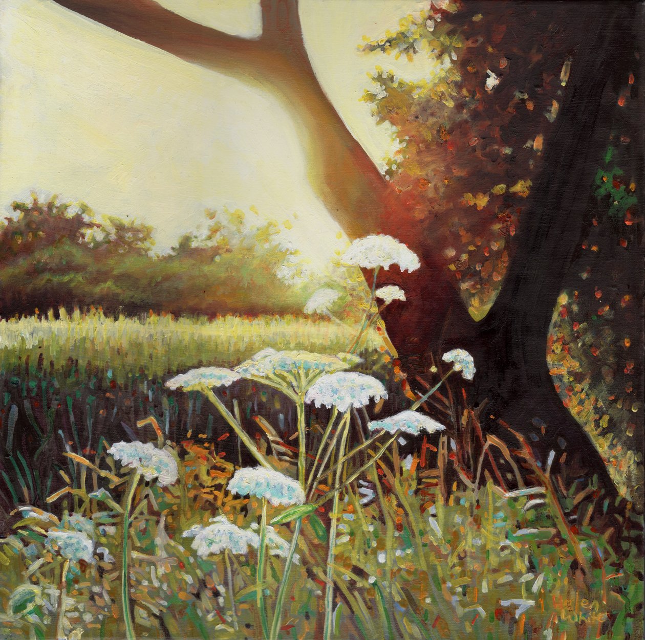 Golden hedgerow I, 2014, av Helen White