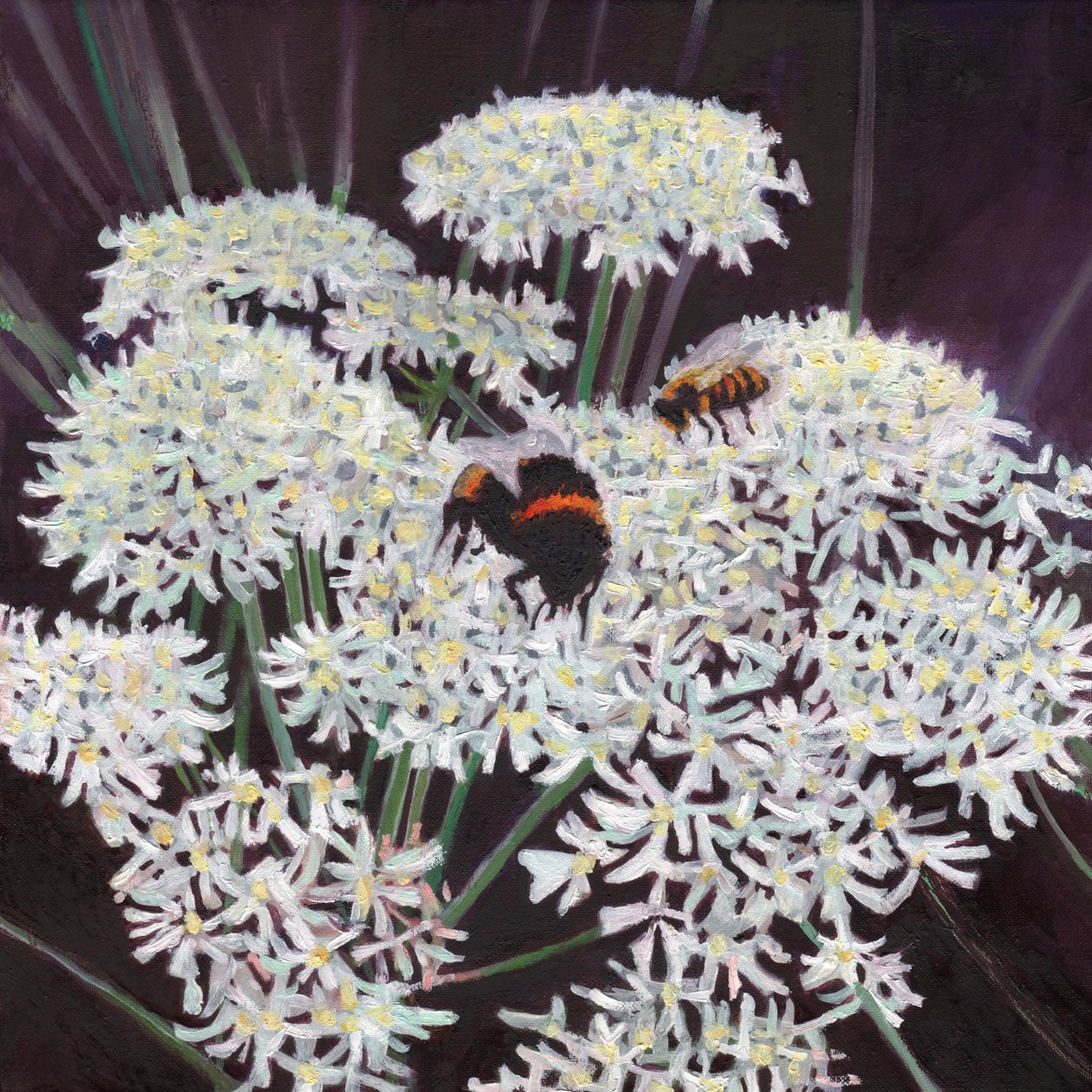 Blomsterstand, 2015, av Helen White