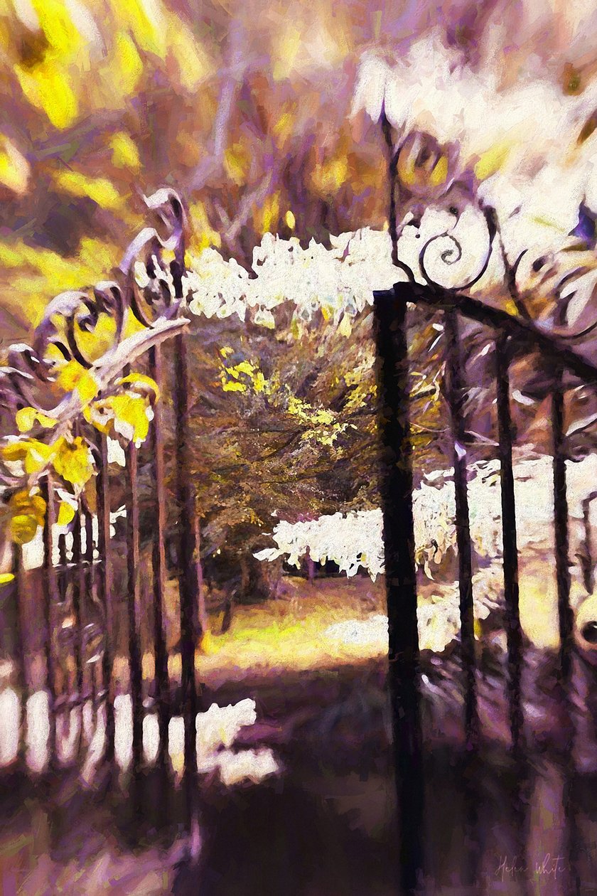 Inn i hagen, 2018, av Helen White