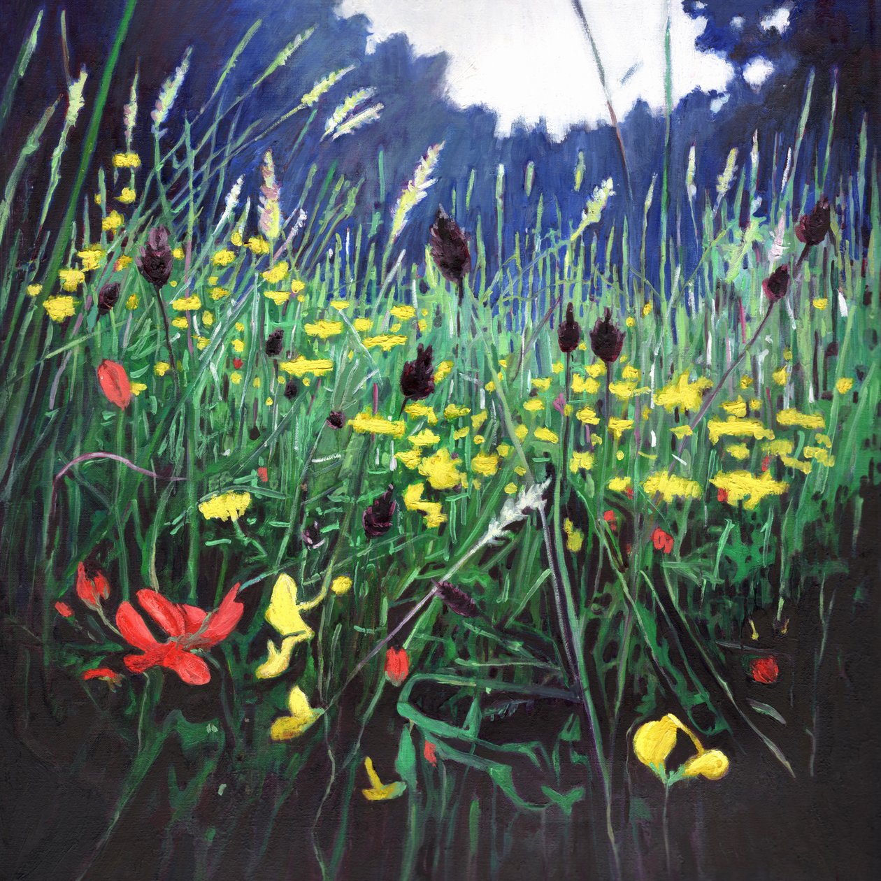 Meadow glory, 2015, av Helen White