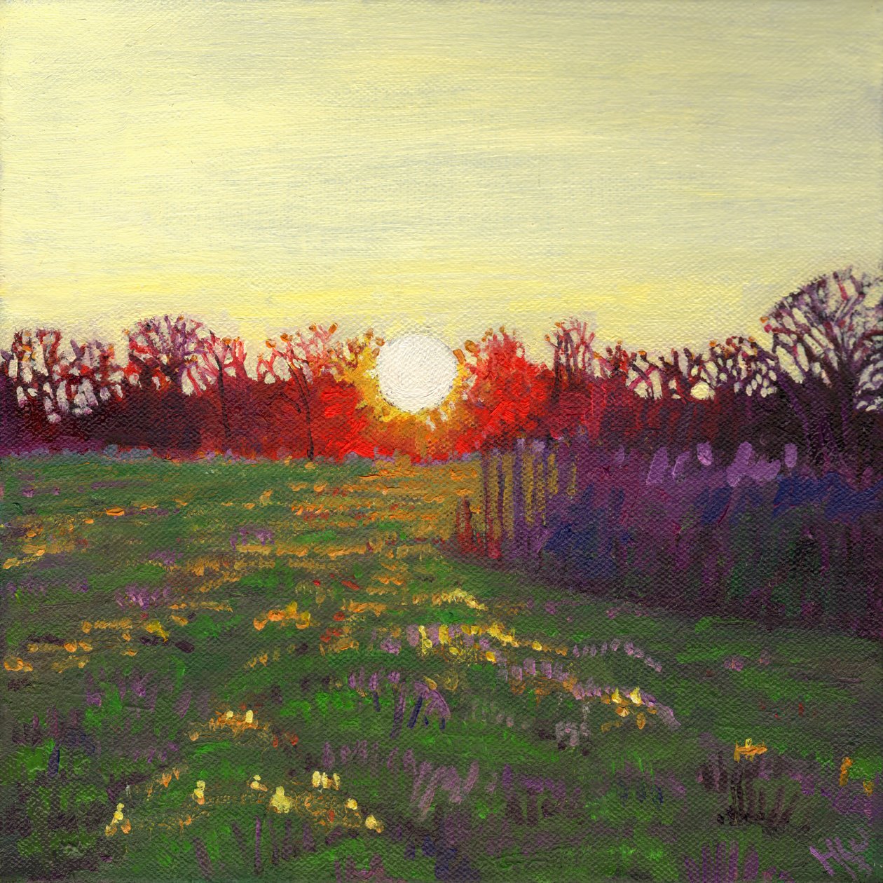 Lysets vei, 2013, av Helen White
