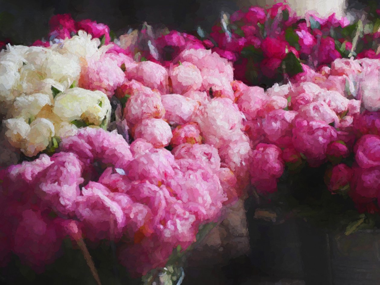 Peony Season, 2018, blandet media) av Helen White