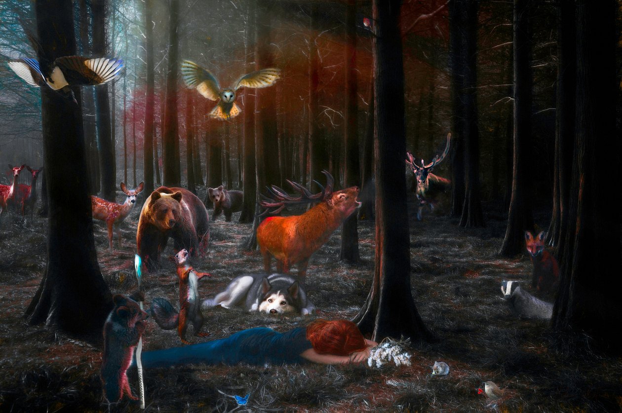 Vennligst våkn opp, 2018, av Helen White