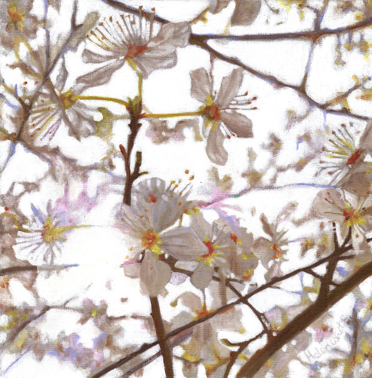 Preludium, 2014, av Helen White