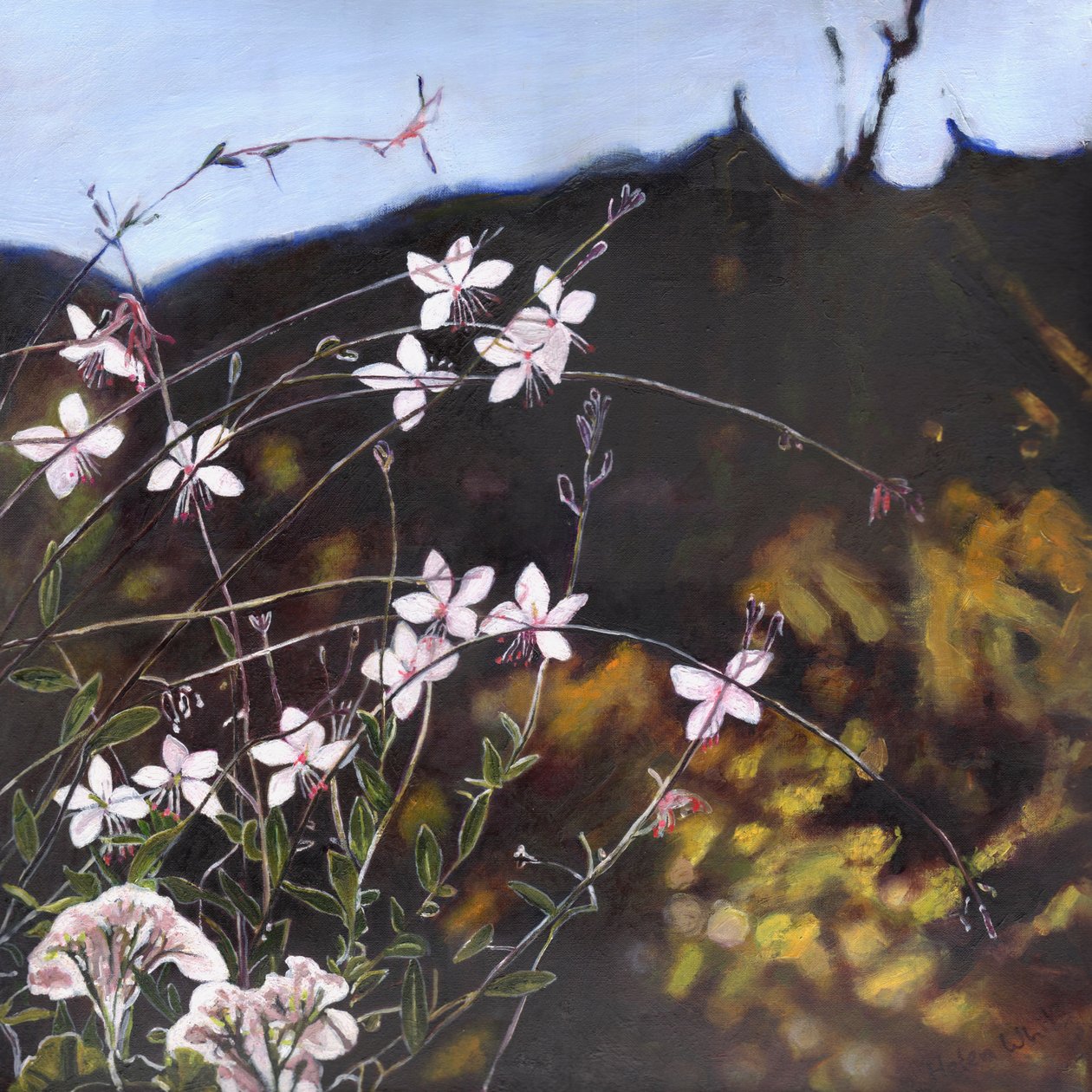 Provençalsk hage I, 2014, av Helen White