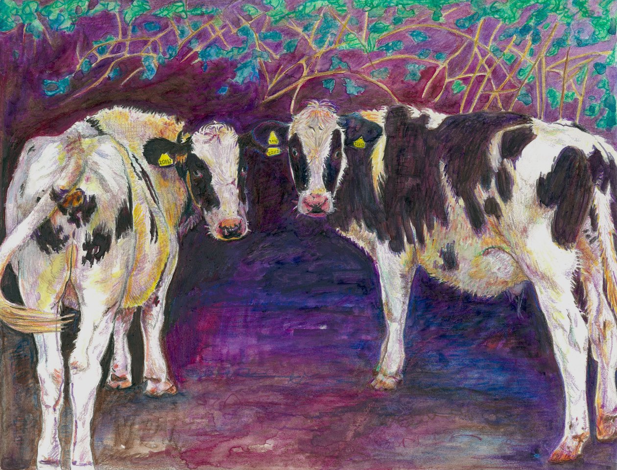 Skjulte kyr, 2011, (farget blyant på papir) av Helen White