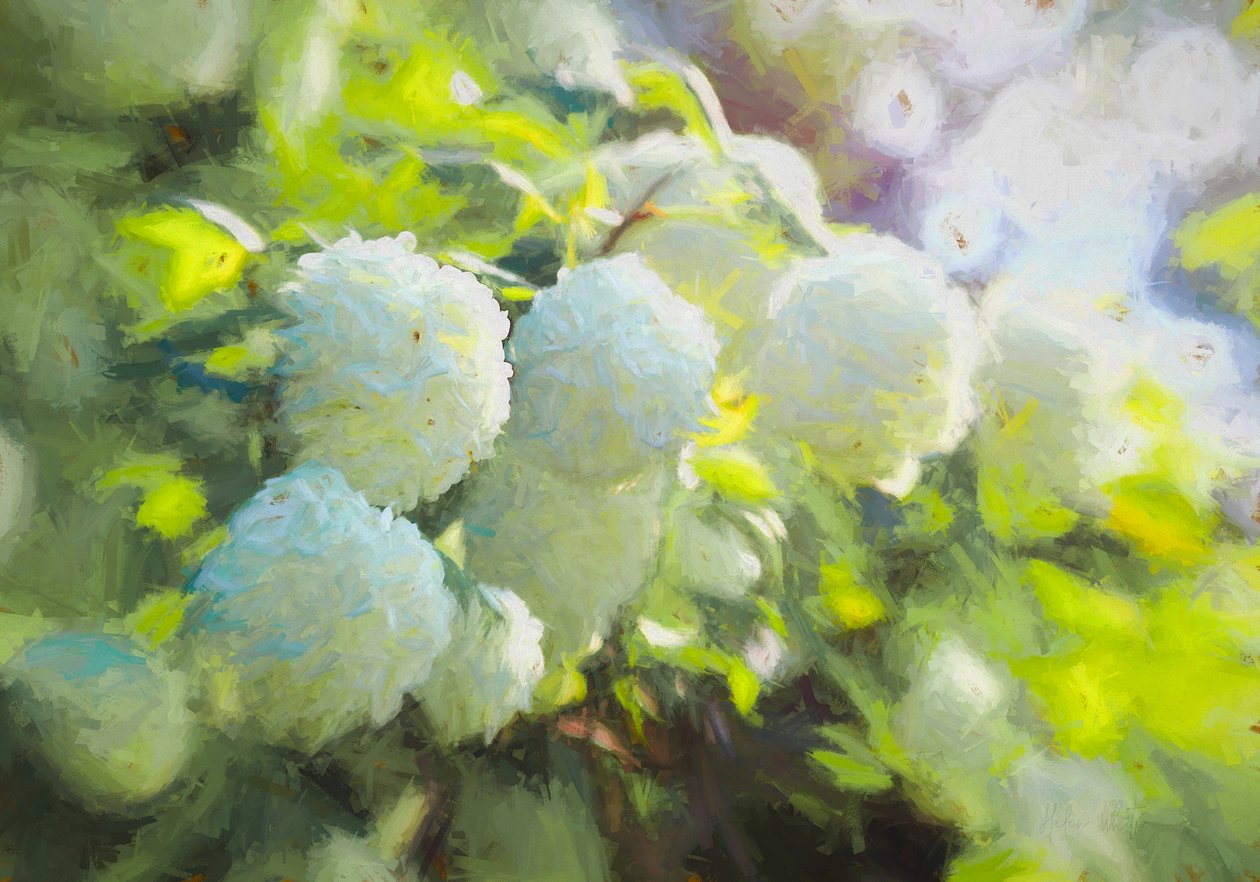 Softly Blooming, 2018, av Helen White
