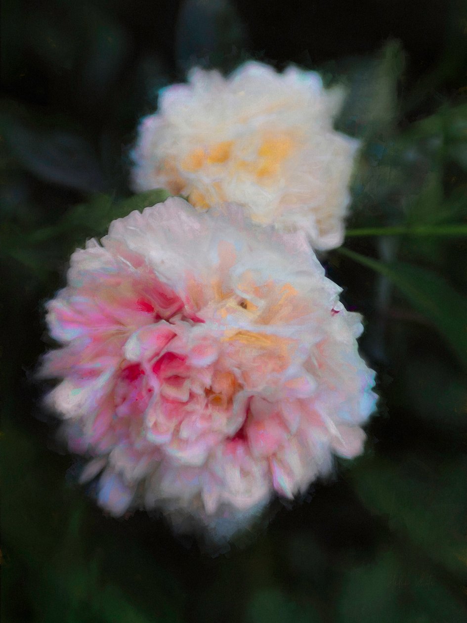 Sommerpioner, 2018, av Helen White