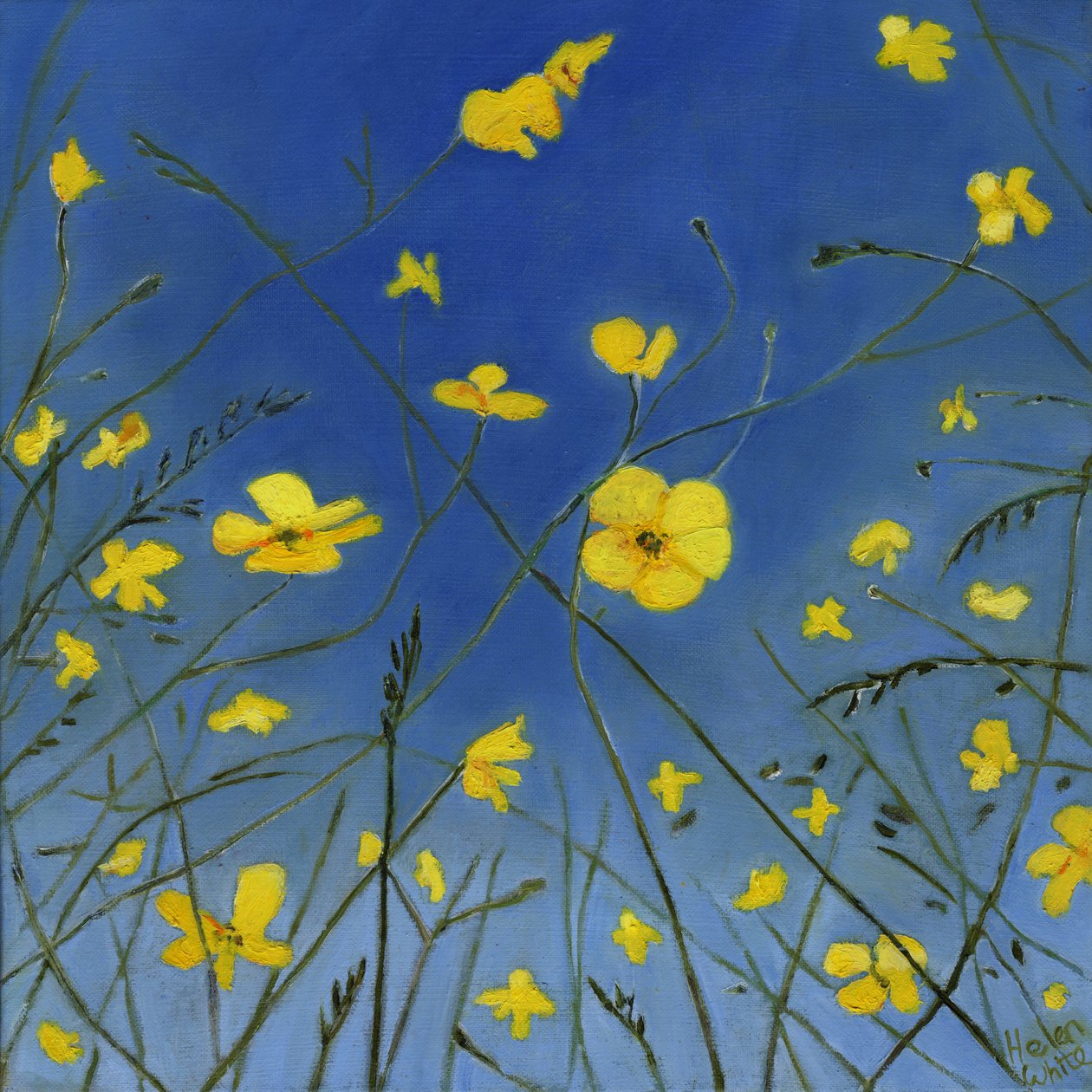 Sommerdager og late måter, 2015, av Helen White