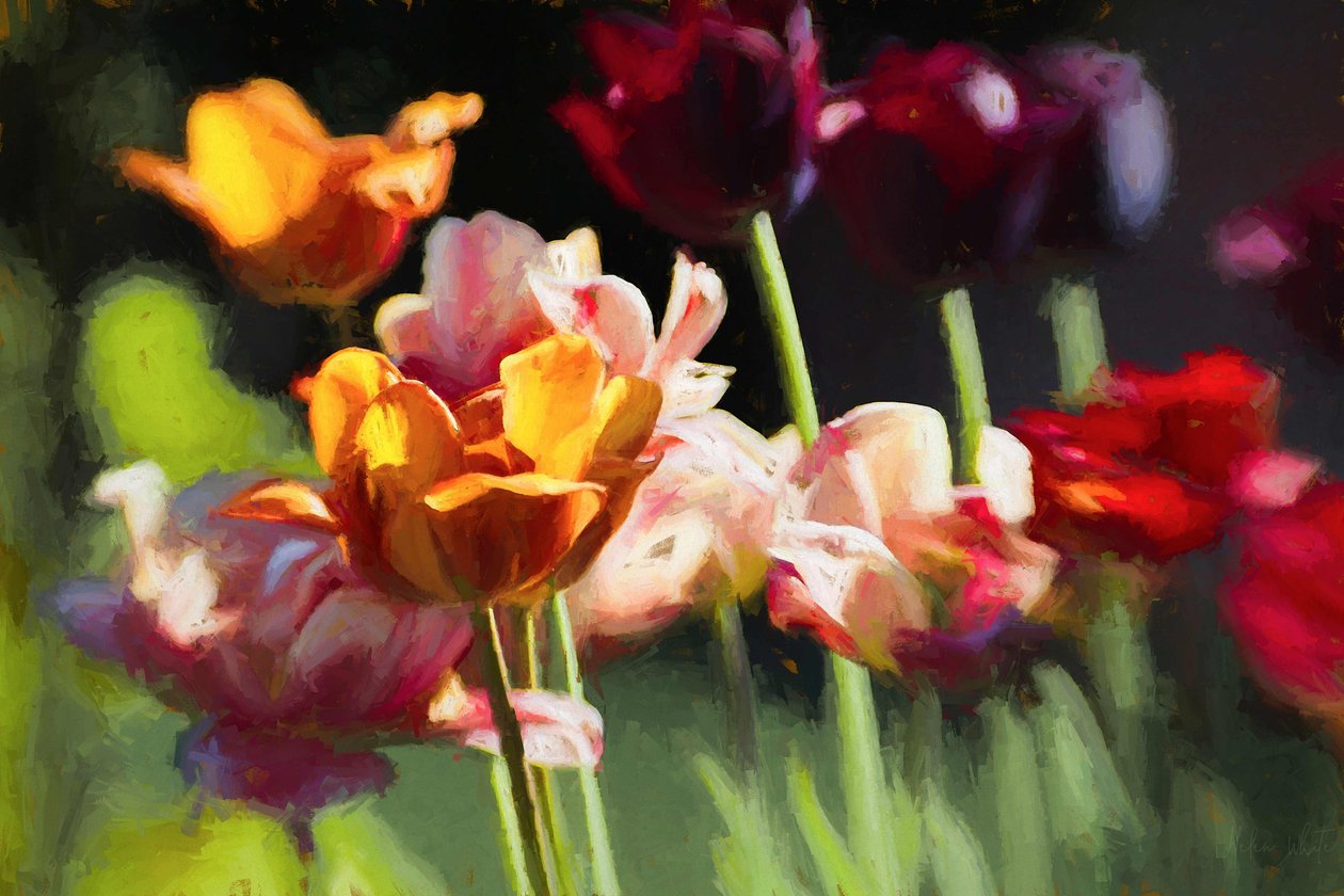 Tulip Field, 2018, av Helen White