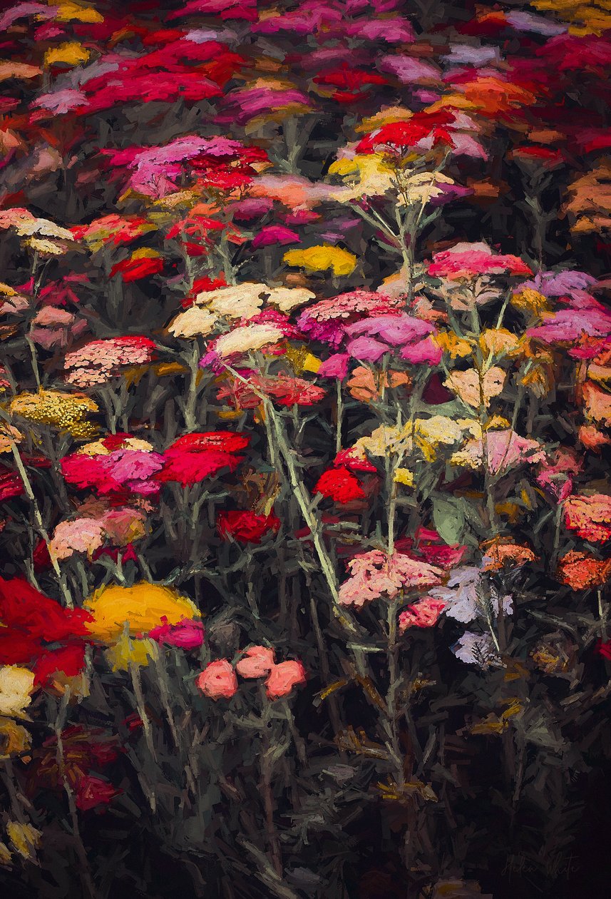 Wildly Colourful, 2018, av Helen White