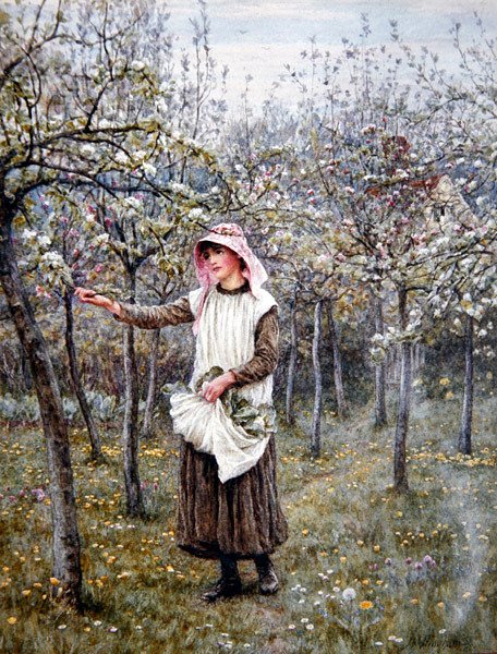 Blossom Time (akvarell på papir) av Helen Allingham