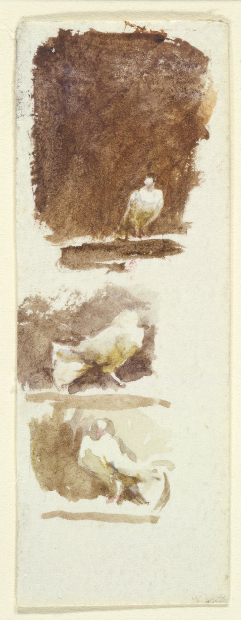 Duer (wc på papir) av Helen Allingham