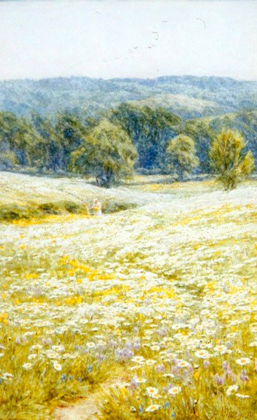 Oxeye Daisies, nær Westerham, Kent (akvarell på papir) av Helen Allingham