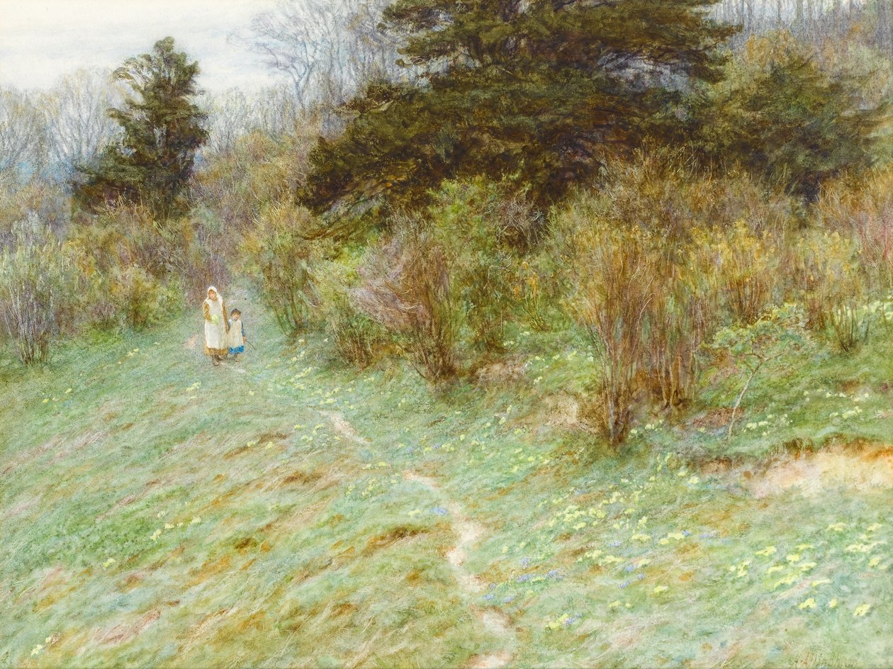 Primroses on a Surrey Heath (wc på papir) av Helen Allingham