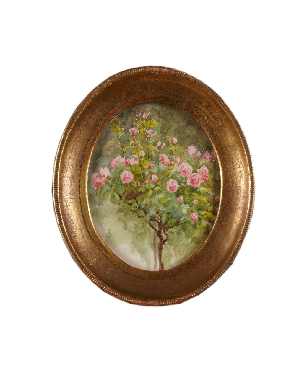 Rose Bush (akvarell på papir) av Helen Allingham