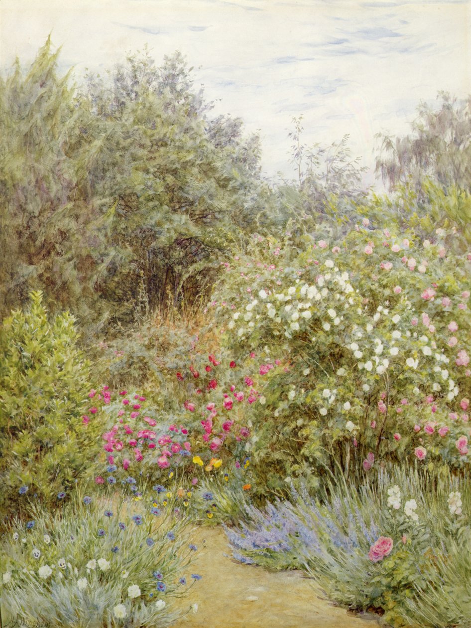 Roser i Gertrude Jekylls hage, Surrey (akvarell på papir) av Helen Allingham