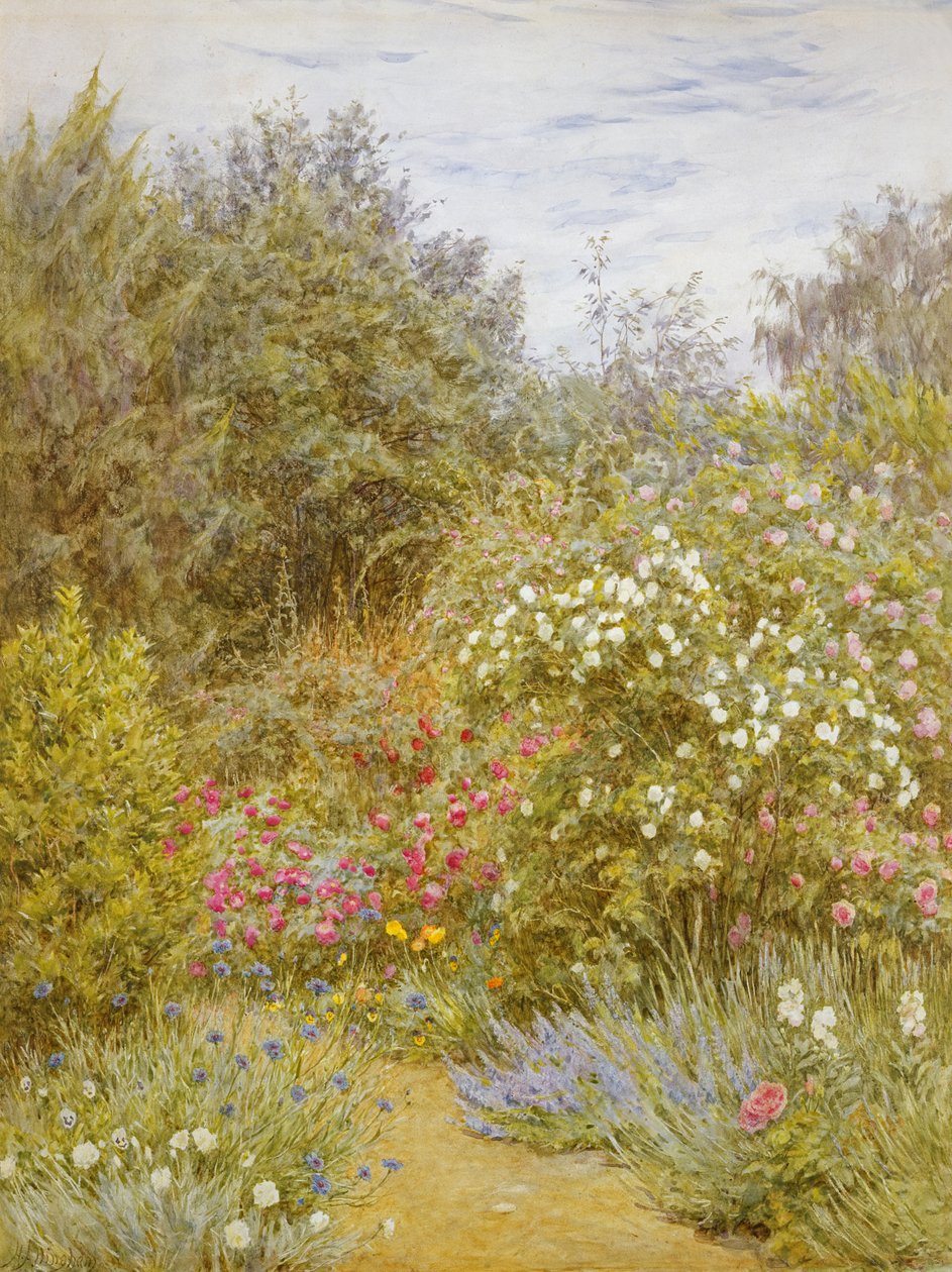 Roses in a Surrey Garden (wc på papir) av Helen Allingham