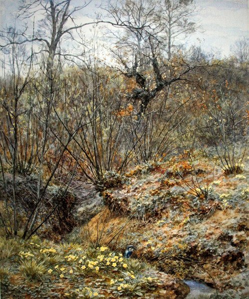 Spring copse, Witley, Surrey (akvarell på papir) av Helen Allingham