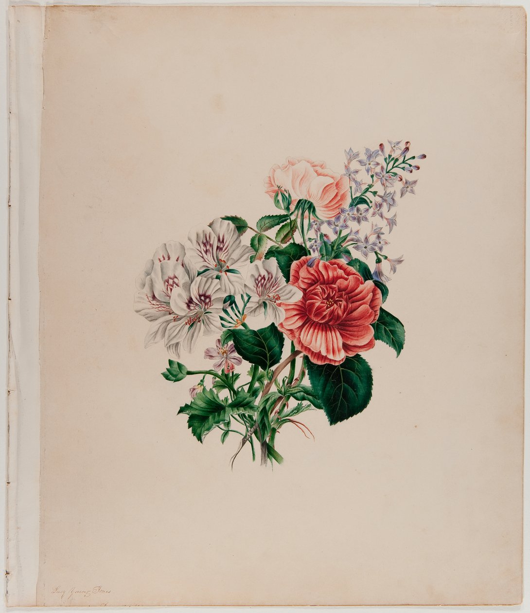St. Leon Bouquet, ca. 1842 (akvarell på papir) av Helen Lockie and family Jones