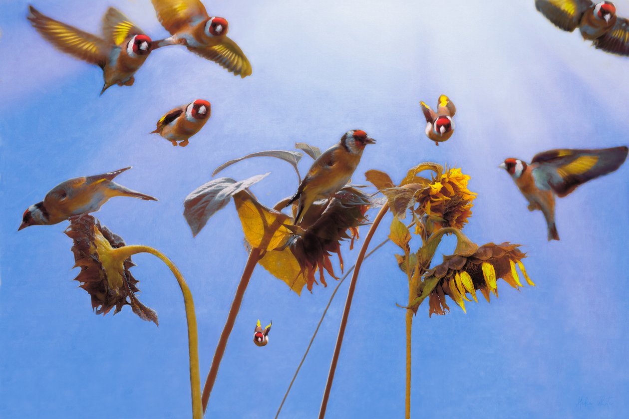 A Charm of Goldfinches, 2021 av Helen White