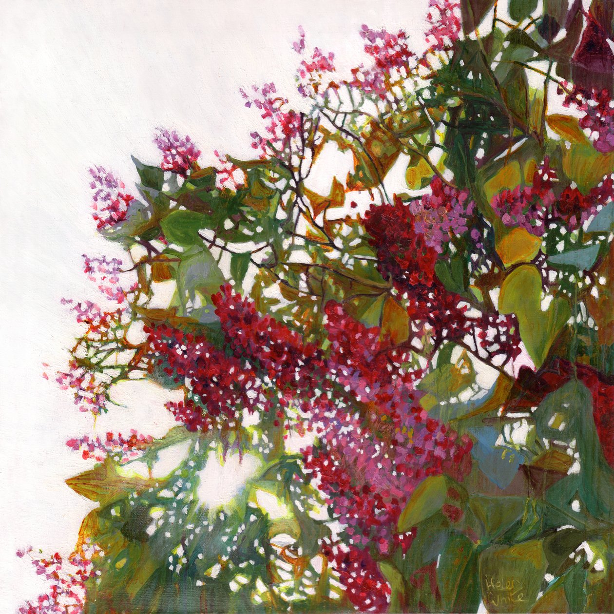 Aglow, 2015 av Helen White