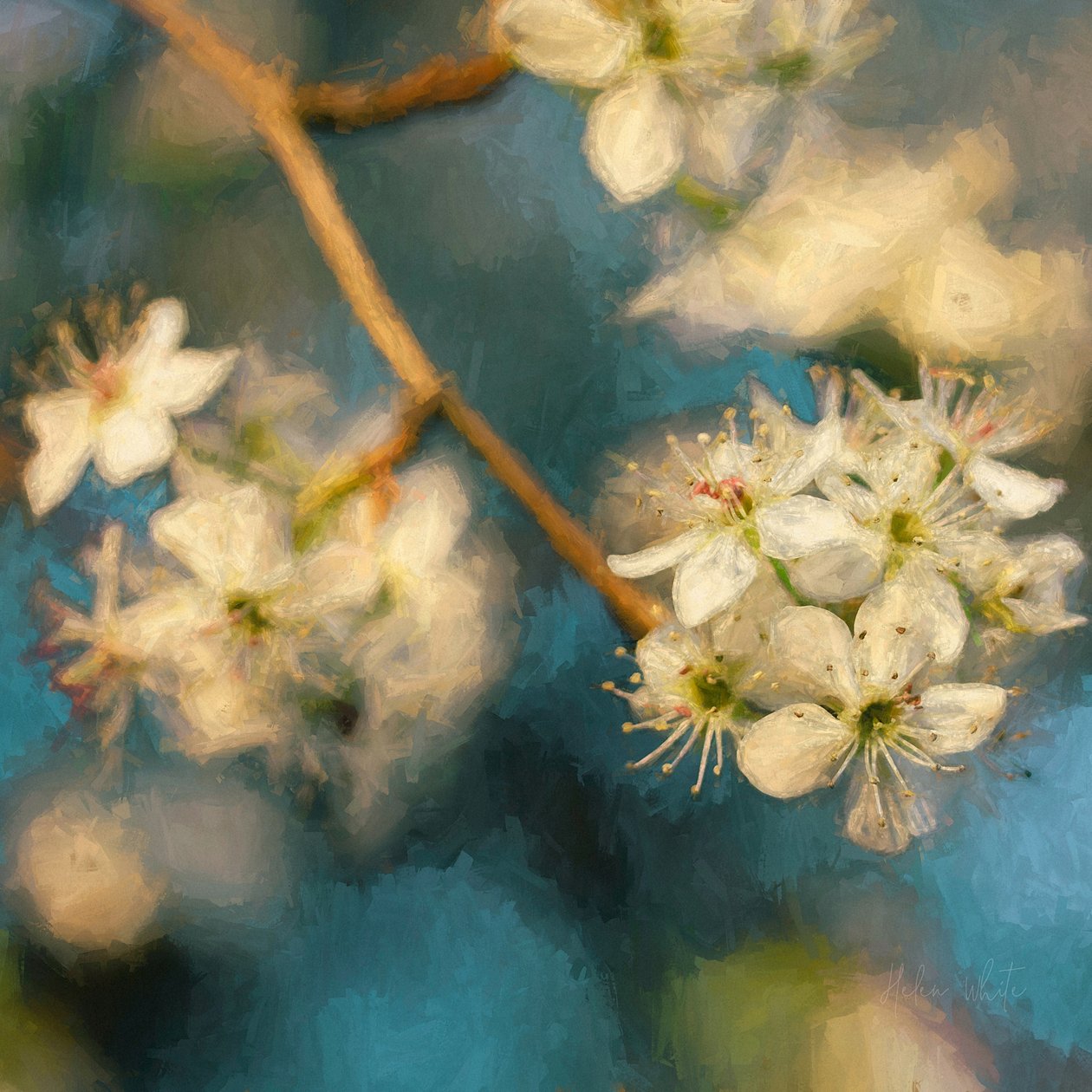 Apple Blossom, 2019 av Helen White