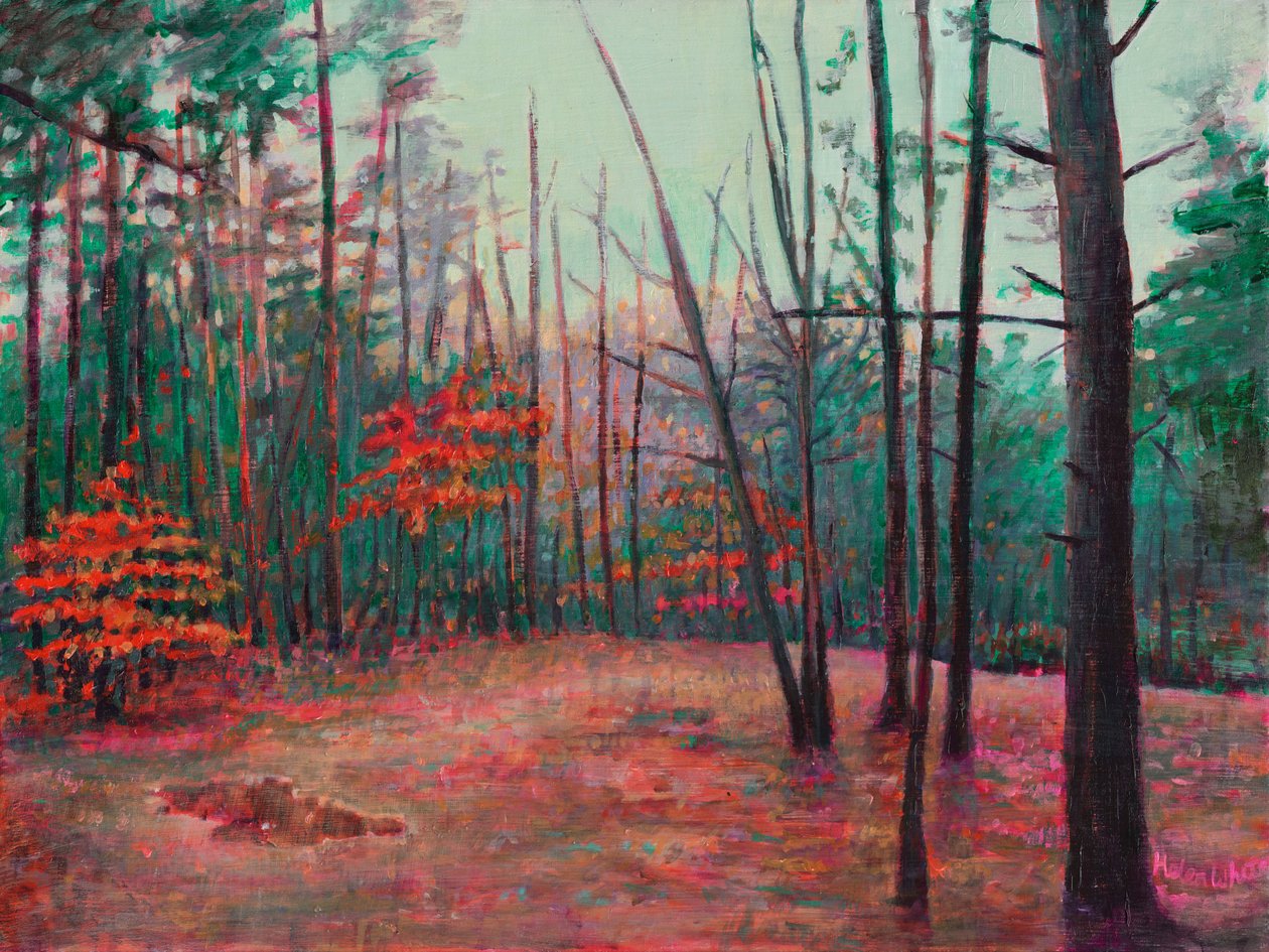 Høstrydning, 2022 av Helen White
