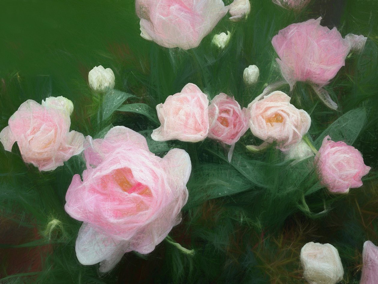 Bed of Roses, 2018 av Helen White